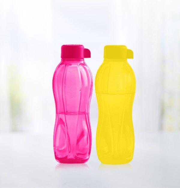 Tupperware Aquasafe 1L plastic round bottle set of 2 1000 ml Bottle (Pack of 2, Green, Pink, Plastic)